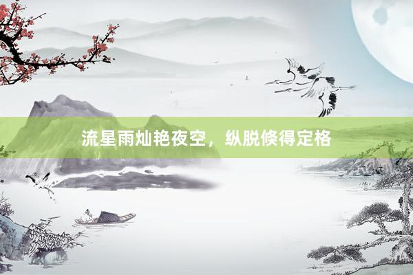 流星雨灿艳夜空，纵脱倏得定格