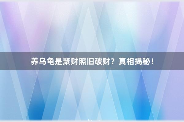 养乌龟是聚财照旧破财?真相揭秘!